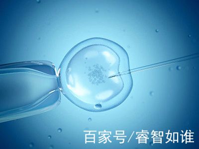男性因素案例